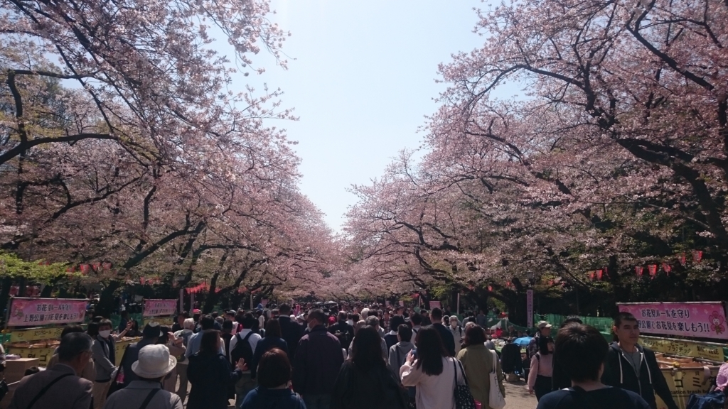 f:id:ese19731107:20180331123317j:plain