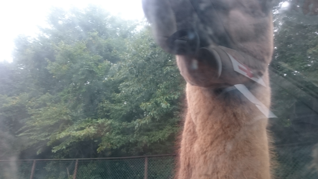f:id:ese19731107:20180908135408j:plain