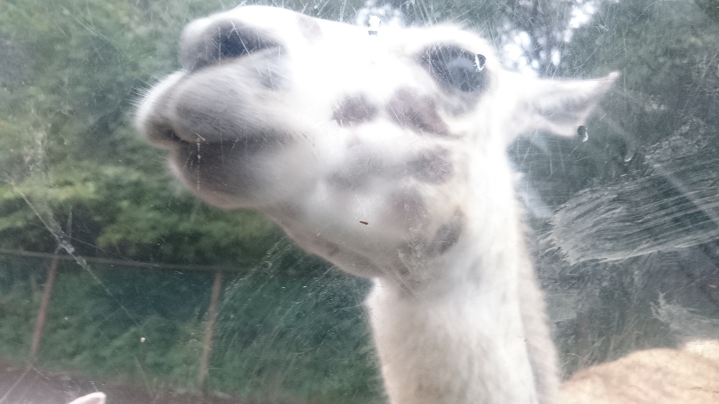 f:id:ese19731107:20180908135422j:plain