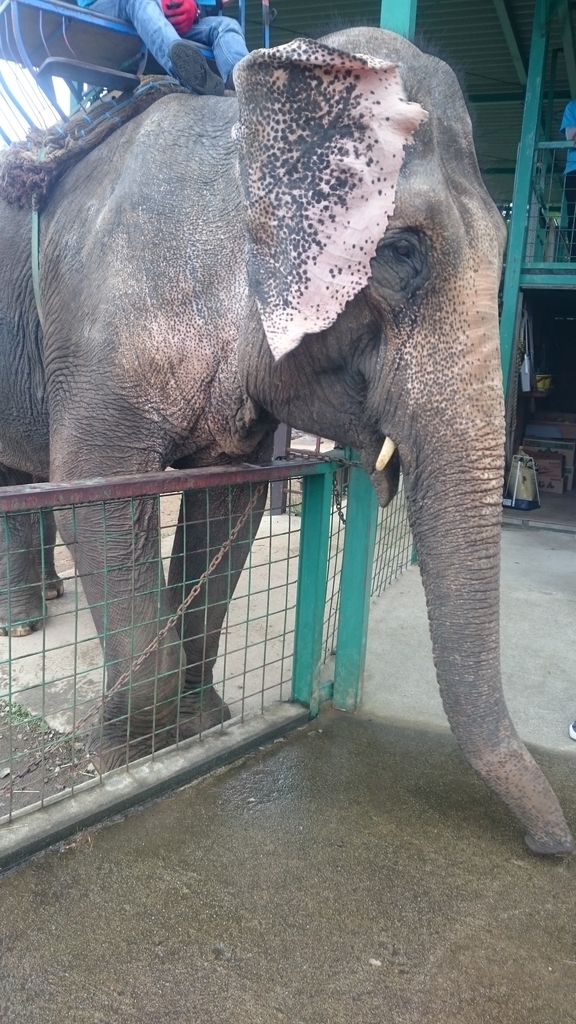 f:id:ese19731107:20180908143252j:plain