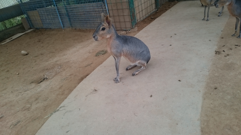 f:id:ese19731107:20180908163420j:plain