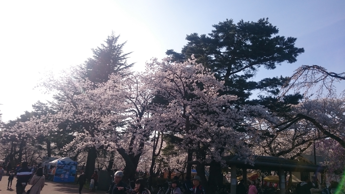 f:id:ese19731107:20190413155606j:plain