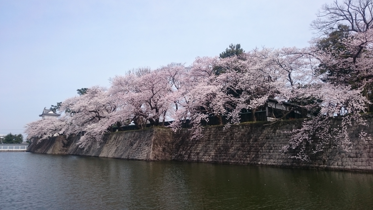 f:id:ese19731107:20190414101522j:plain