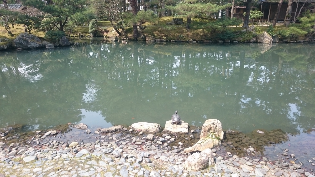 f:id:ese19731107:20190414105135j:plain