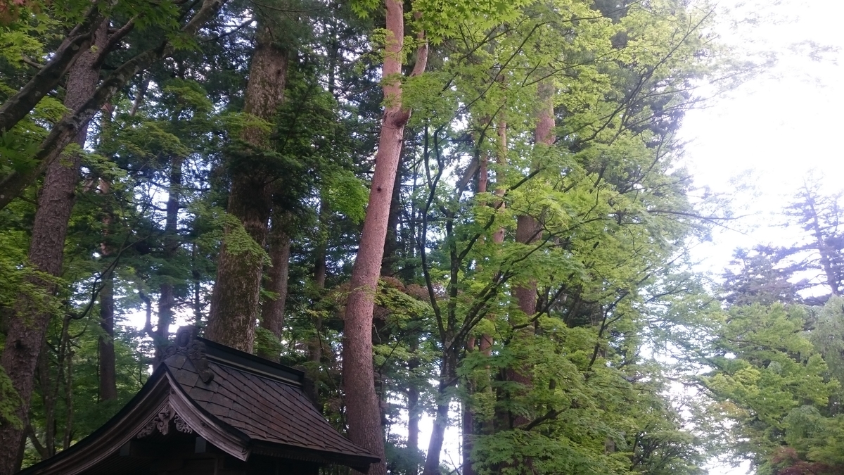 f:id:ese19731107:20190601121907j:plain