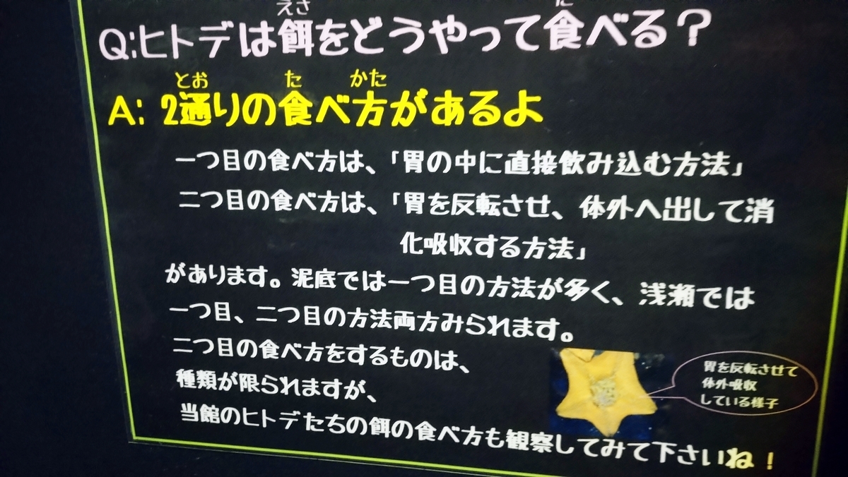 f:id:ese19731107:20200706152135j:plain