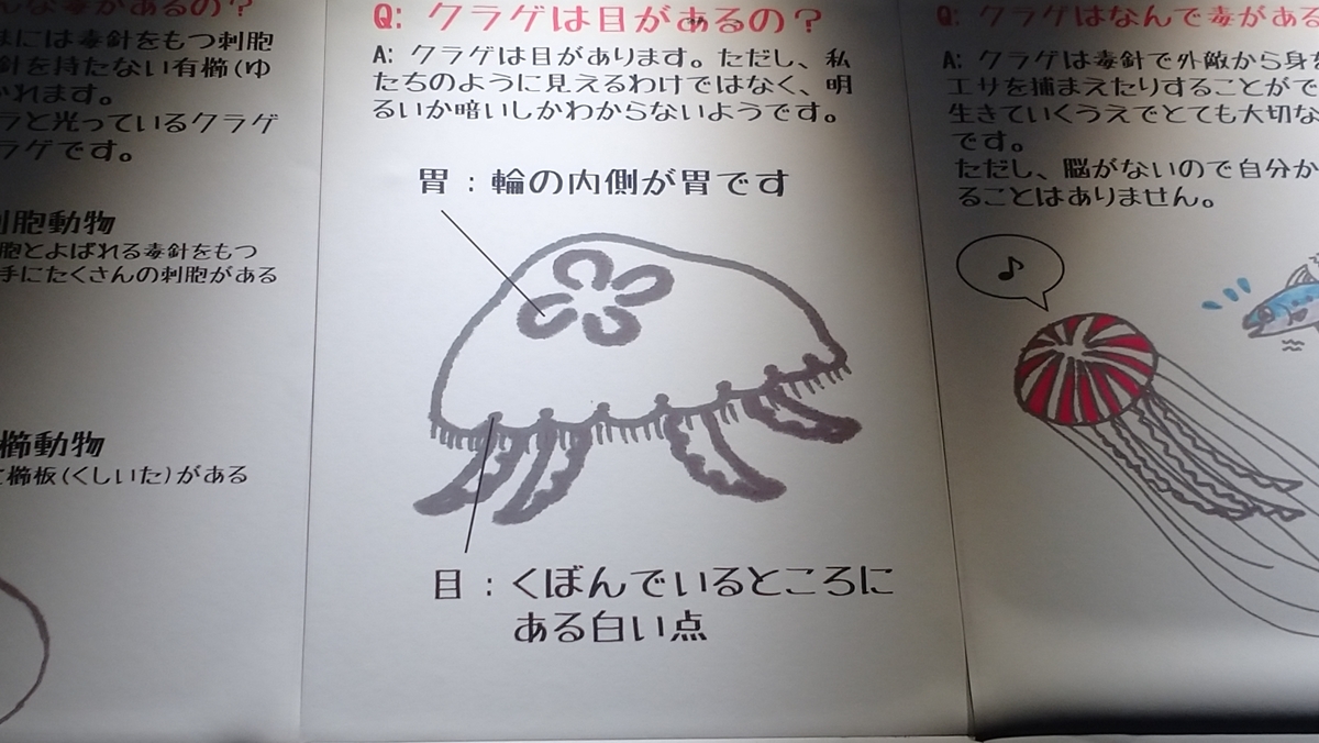 f:id:ese19731107:20200706154356j:plain
