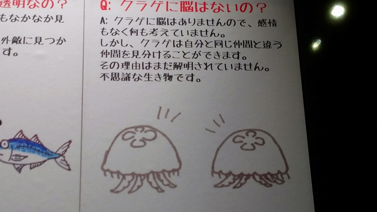 f:id:ese19731107:20200706154407j:plain