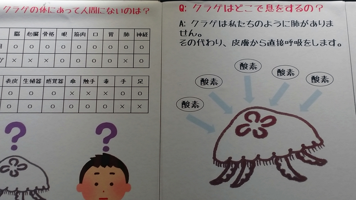 f:id:ese19731107:20200706154414j:plain
