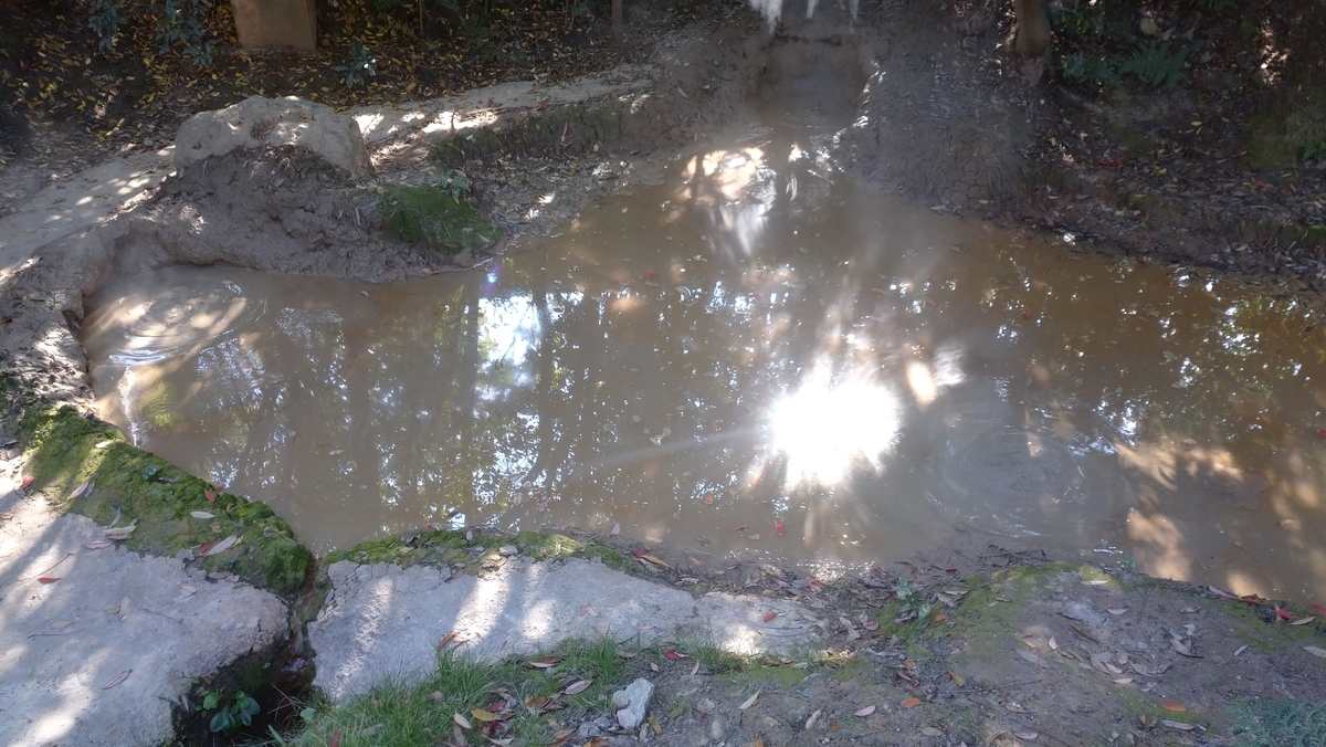 f:id:ese19731107:20201027134739j:plain