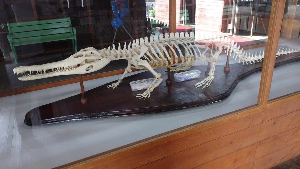 f:id:ese19731107:20201027140149j:plain