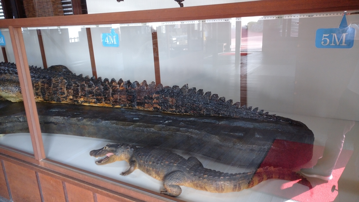 f:id:ese19731107:20201027140310j:plain