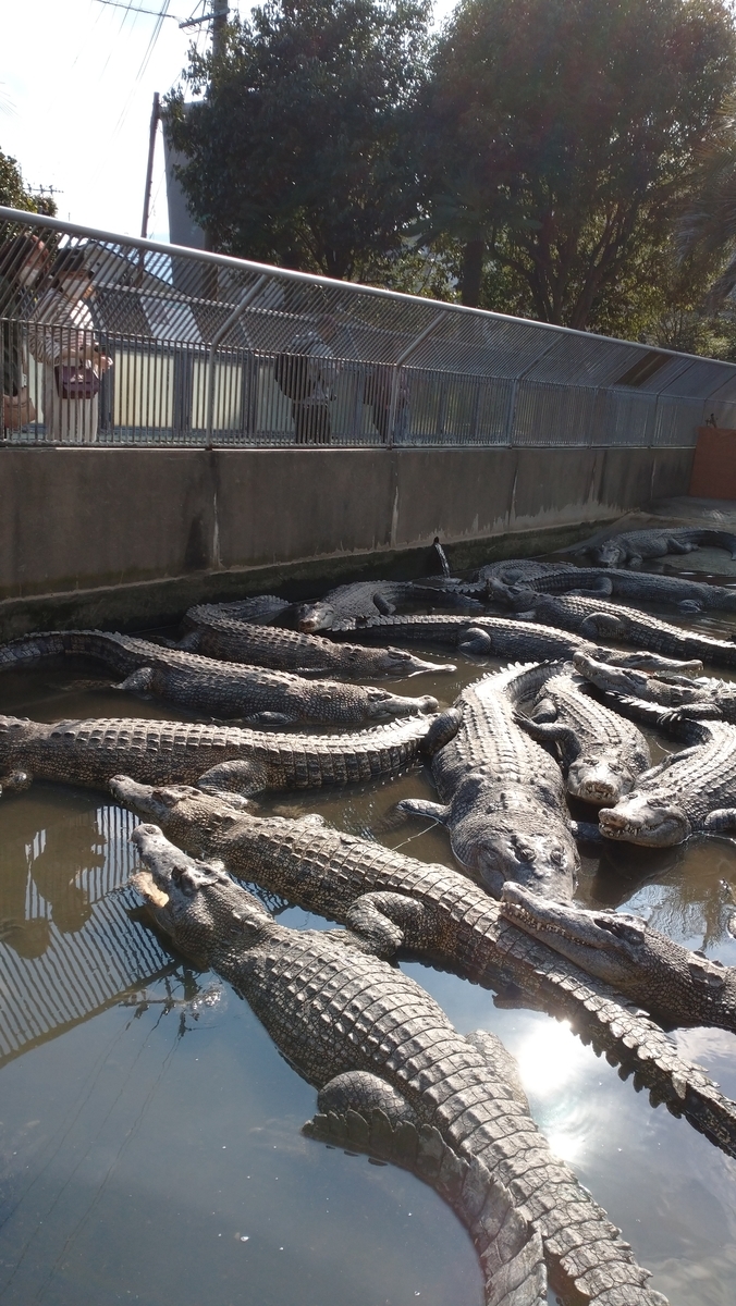 f:id:ese19731107:20201027140735j:plain