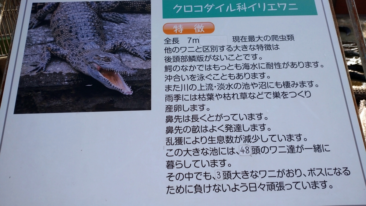 f:id:ese19731107:20201027140743j:plain