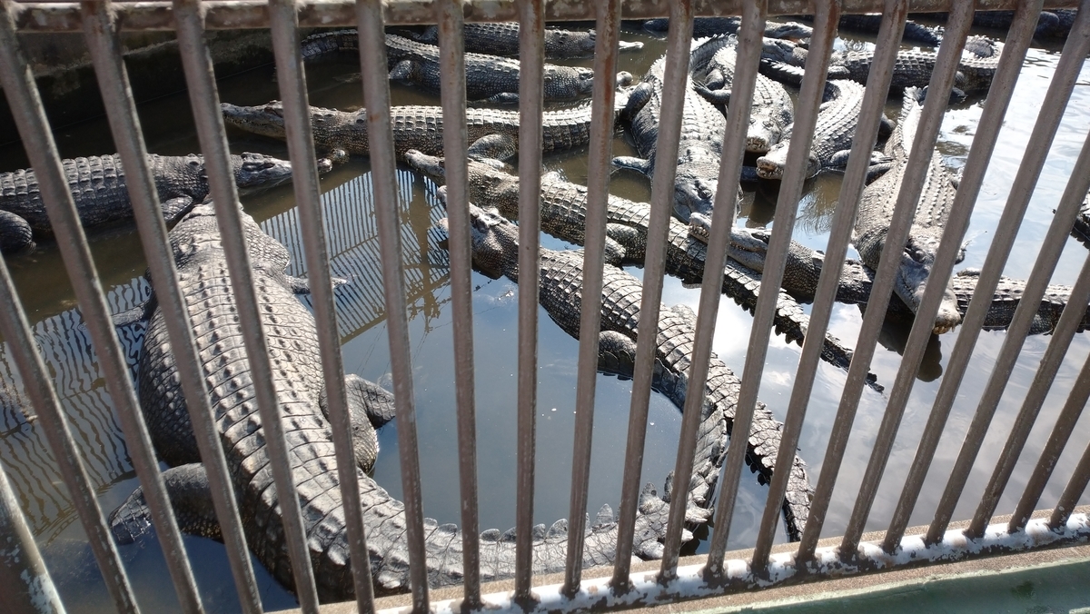 f:id:ese19731107:20201027140747j:plain