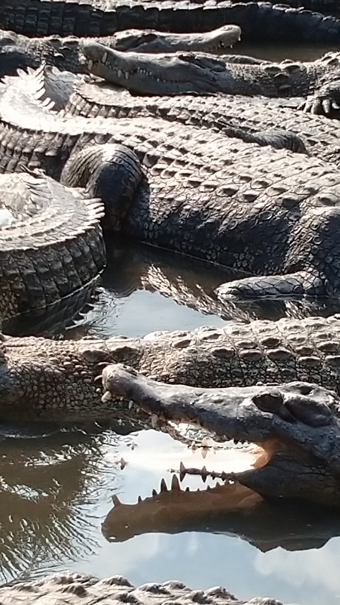 f:id:ese19731107:20201027140806j:plain