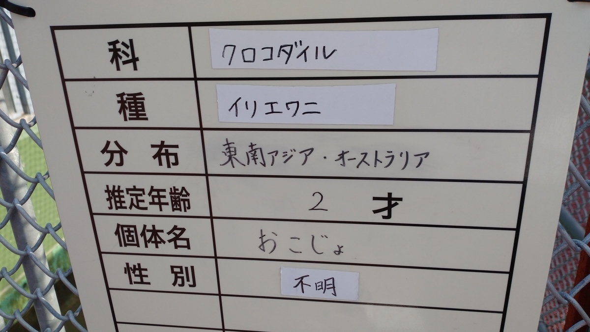 f:id:ese19731107:20201027141116j:plain