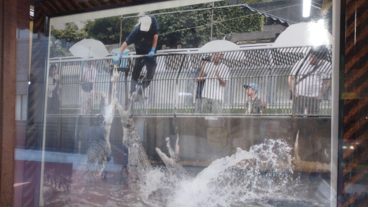 f:id:ese19731107:20201027141400j:plain