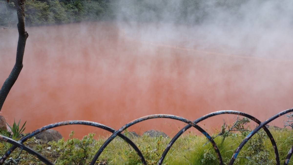 f:id:ese19731107:20201027143908j:plain