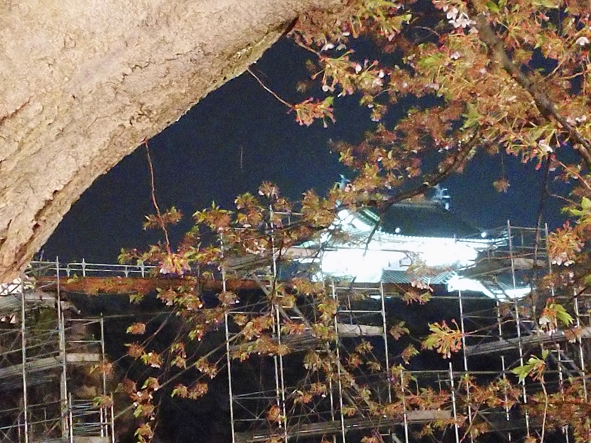 f:id:ese19731107:20210501202204j:plain