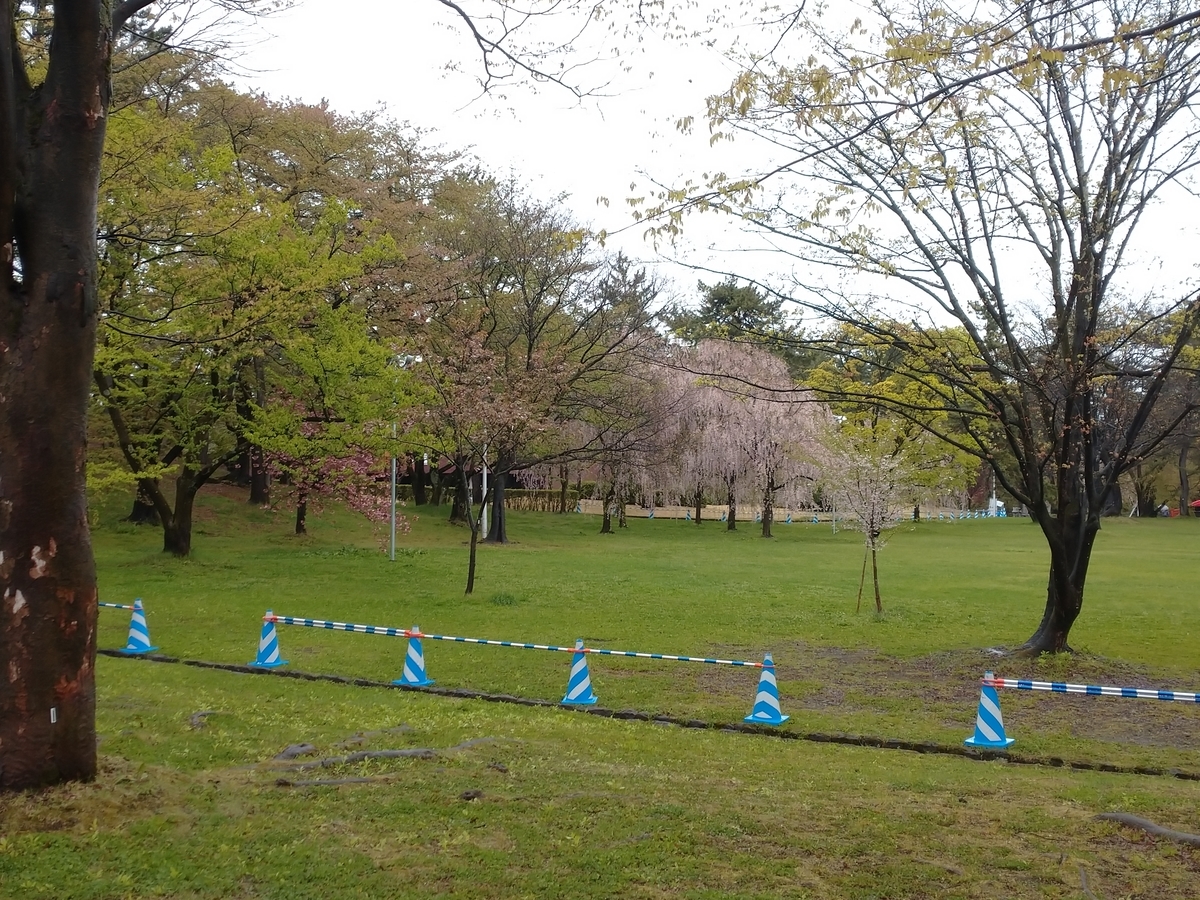 f:id:ese19731107:20210502081933j:plain