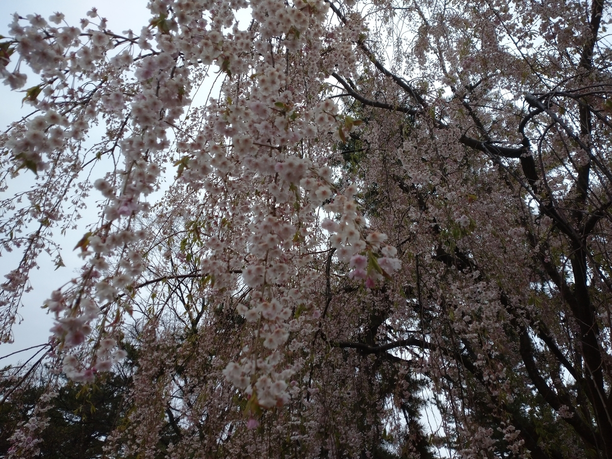 f:id:ese19731107:20210502082220j:plain