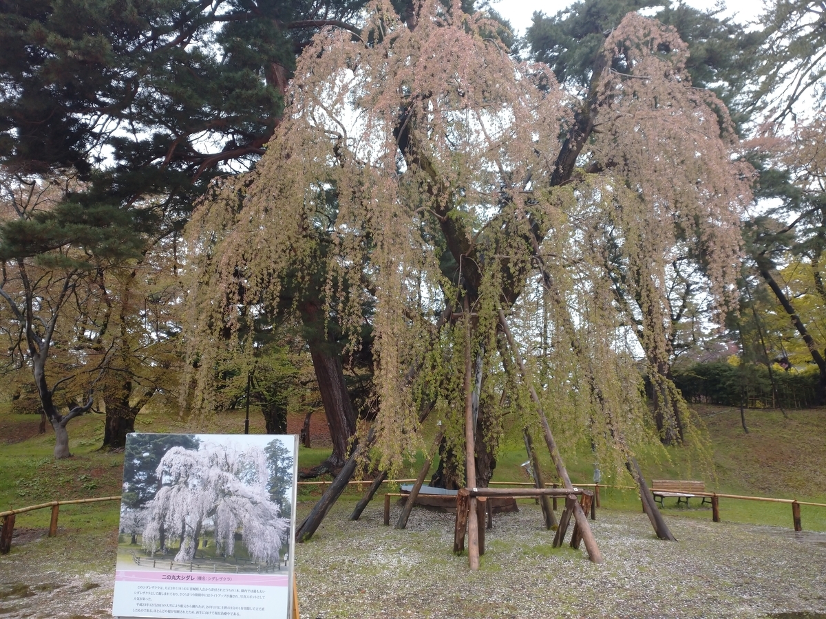 f:id:ese19731107:20210502083331j:plain