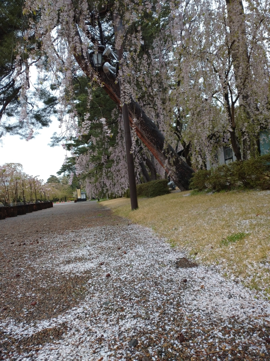 f:id:ese19731107:20210502083455j:plain