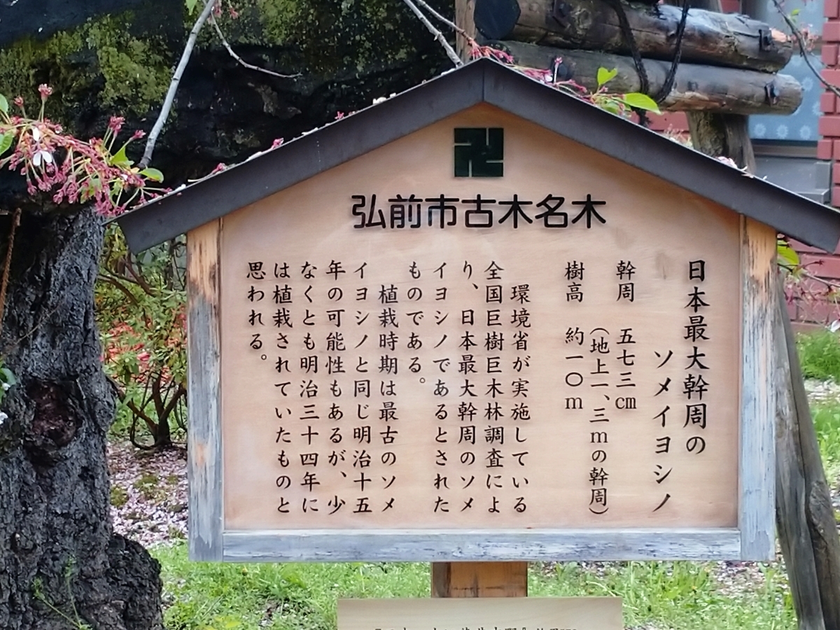 f:id:ese19731107:20210502091515j:plain