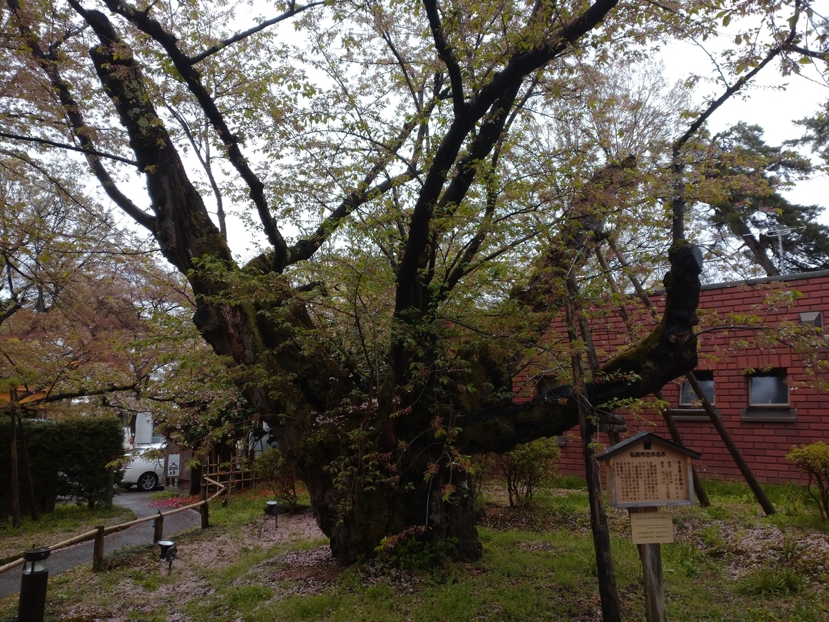 f:id:ese19731107:20210502091528j:plain