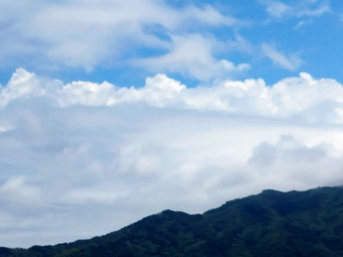 f:id:ese19731107:20210620115158j:plain