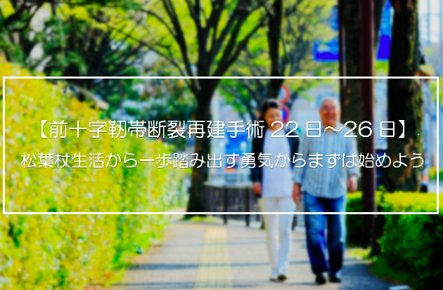 f:id:eshajyouri:20180919140217p:plain f:id:eshajyouri:20180919140217p:plain
