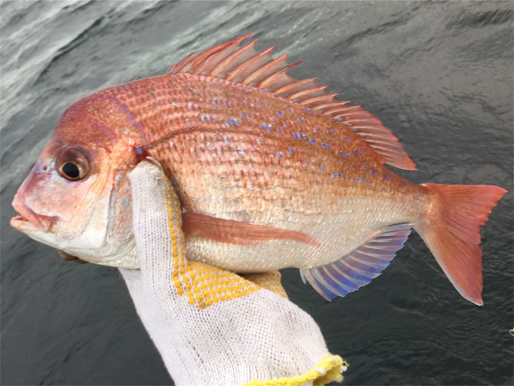 f:id:esojima3:20180911230512j:image