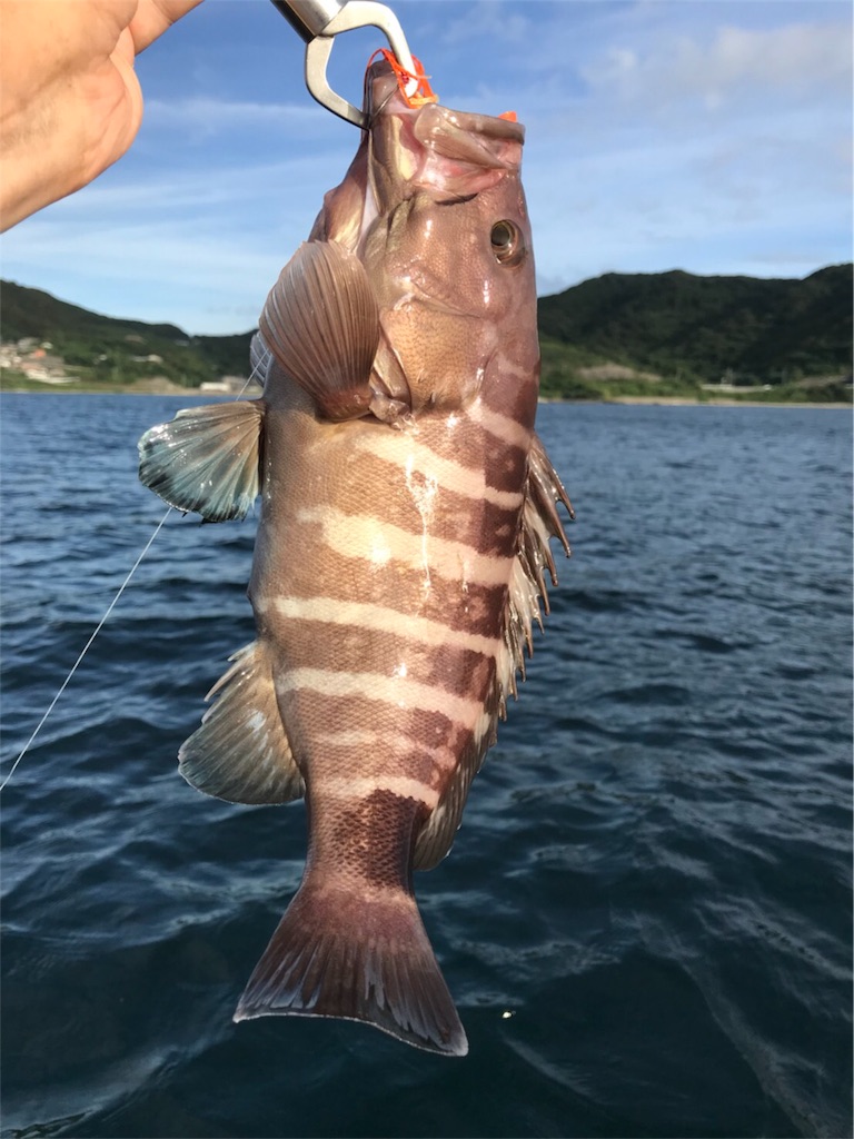 f:id:esojima3:20180911230522j:image