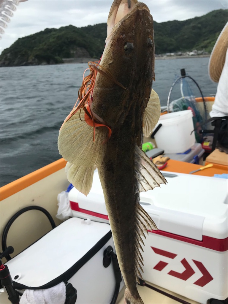f:id:esojima3:20180911230525j:image