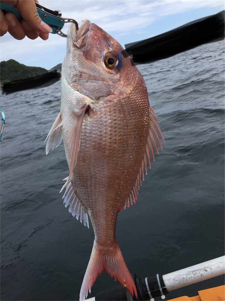 f:id:esojima3:20180911230533j:image