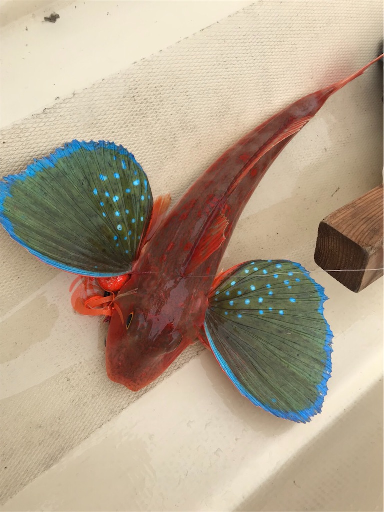 f:id:esojima3:20180911230536j:image