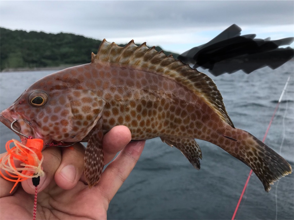 f:id:esojima3:20180912000220j:image