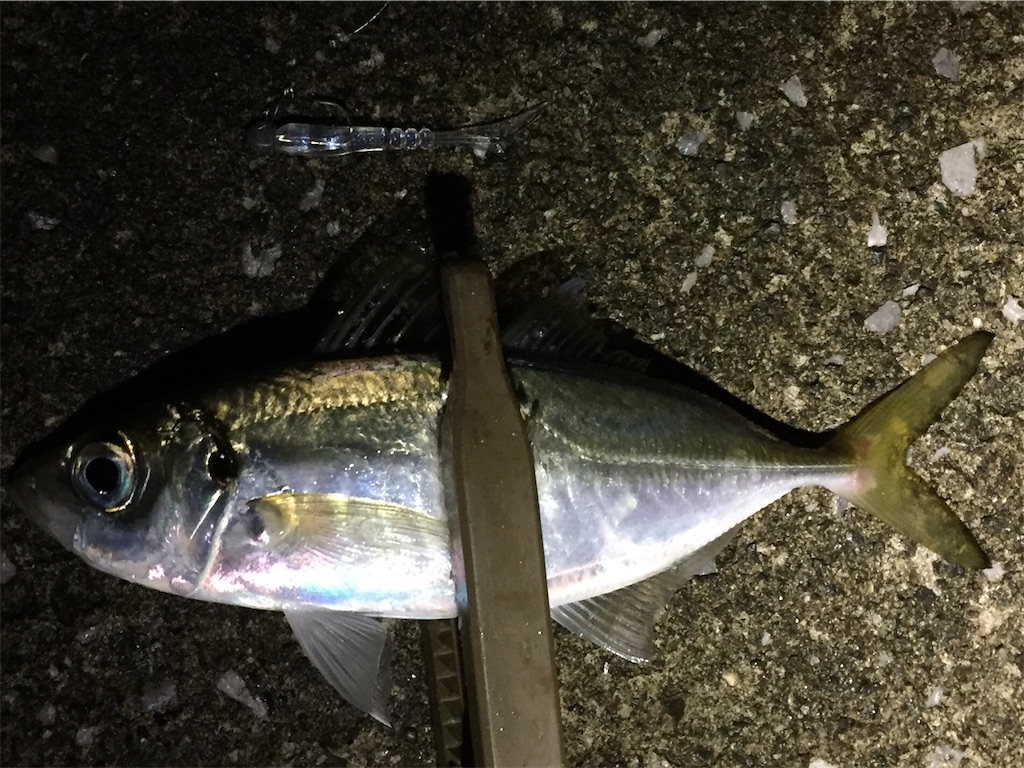 f:id:esojima3:20180912224256j:image