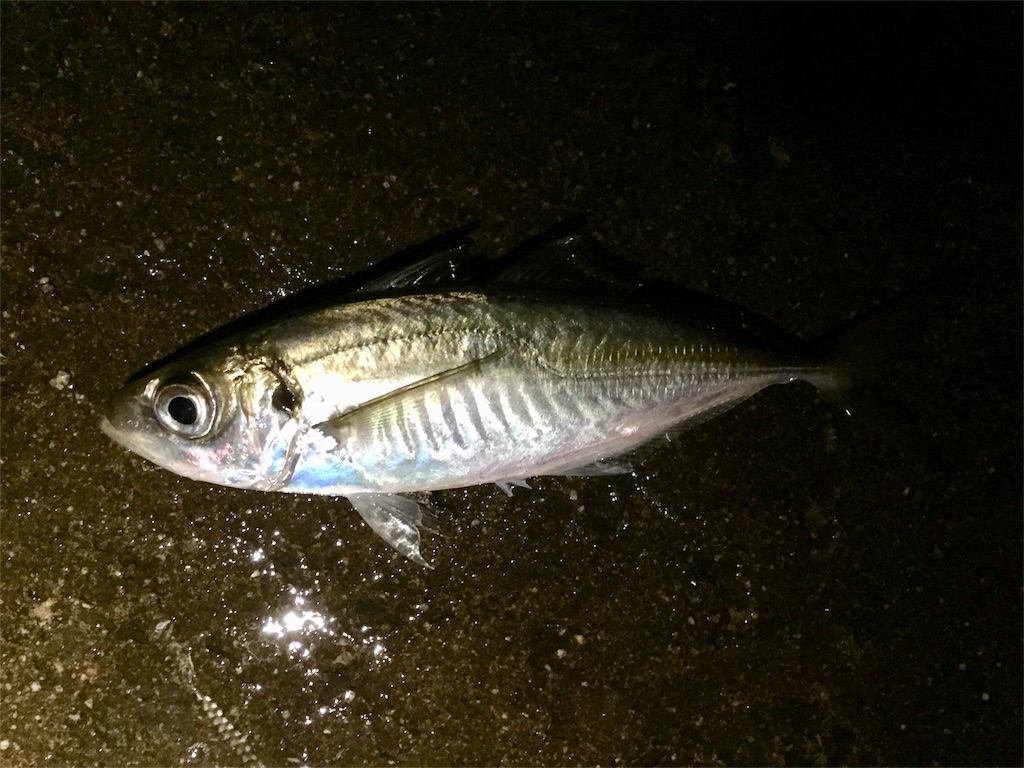 f:id:esojima3:20180912224346j:image