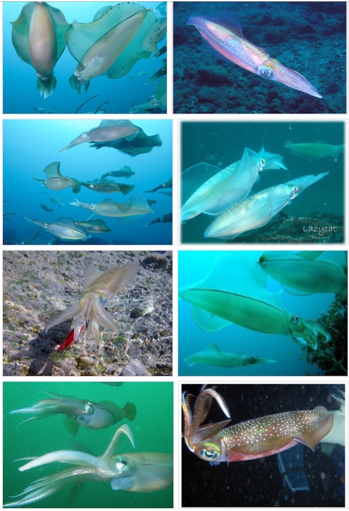 f:id:esojima3:20180916220634j:image
