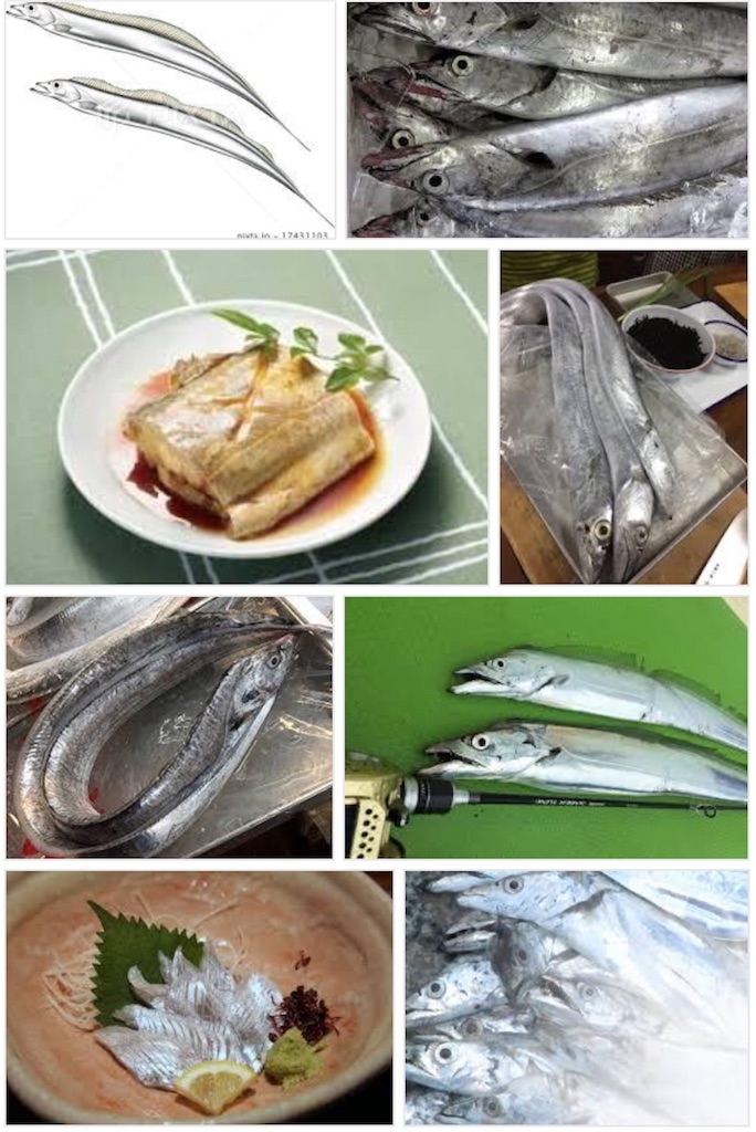 f:id:esojima3:20180916220638j:image