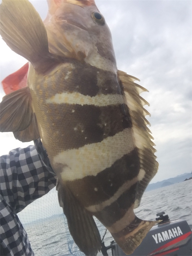 f:id:esojima3:20180924094511j:image