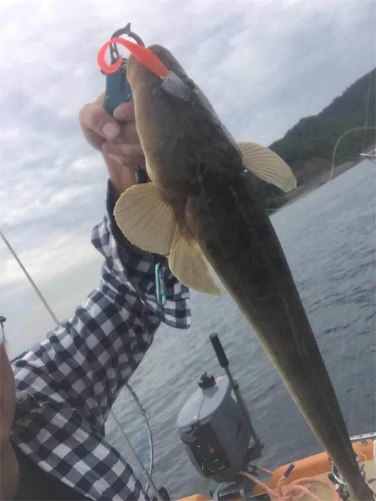 f:id:esojima3:20180924100505j:image