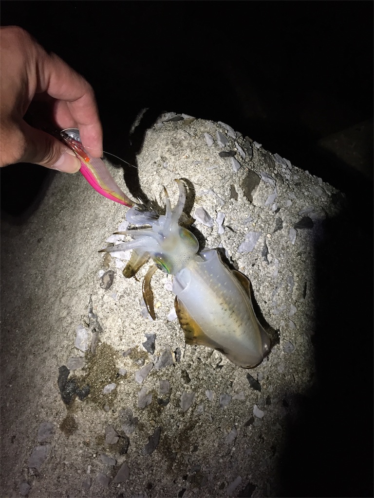 f:id:esojima3:20181001210328j:image