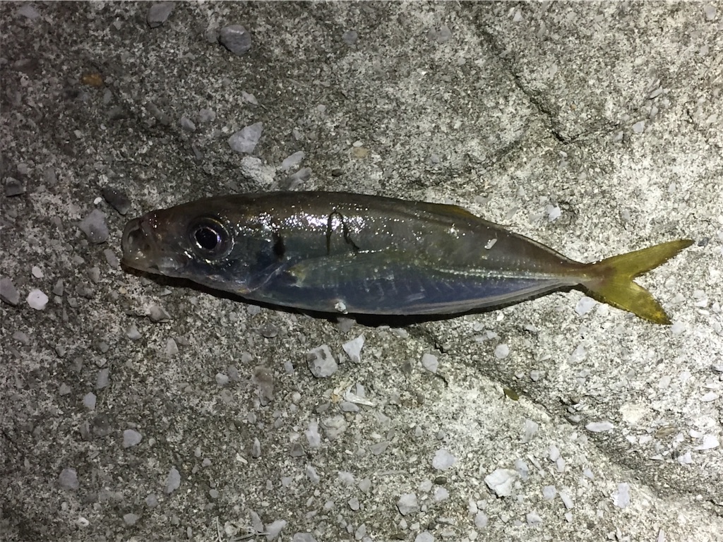 f:id:esojima3:20181004202753j:image