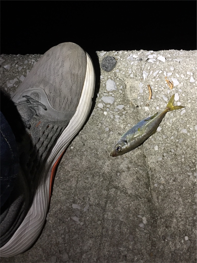 f:id:esojima3:20181004202811j:image