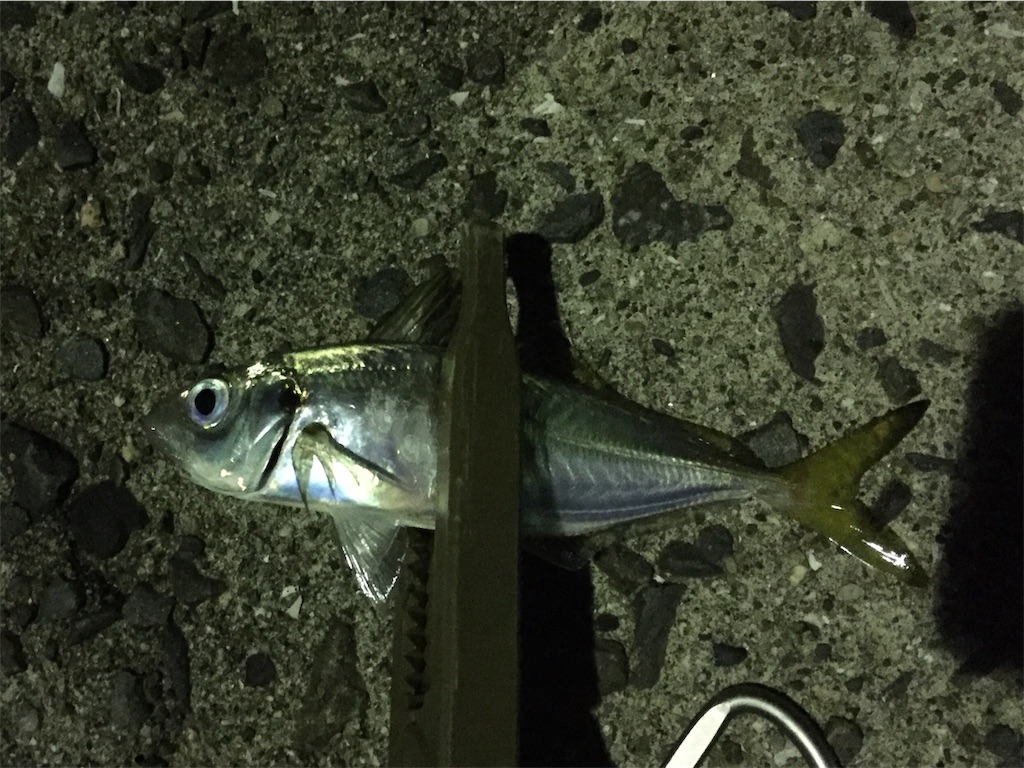 f:id:esojima3:20181007023206j:image f:id:esojima3:20181007023206j:image