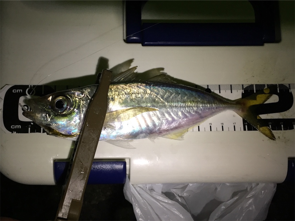f:id:esojima3:20181007024122j:image f:id:esojima3:20181007024122j:image