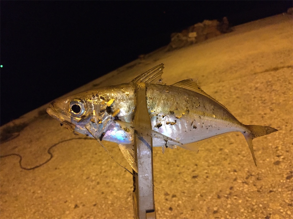 f:id:esojima3:20181008105431j:image f:id:esojima3:20181008105431j:image